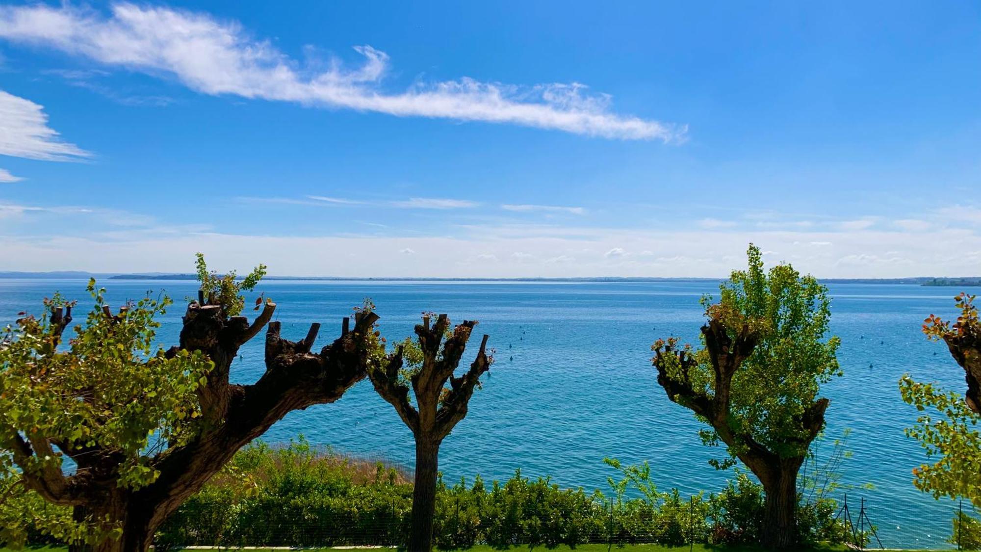 Campeggio Della Colombaia Padenghe sul Garda Bagian luar foto