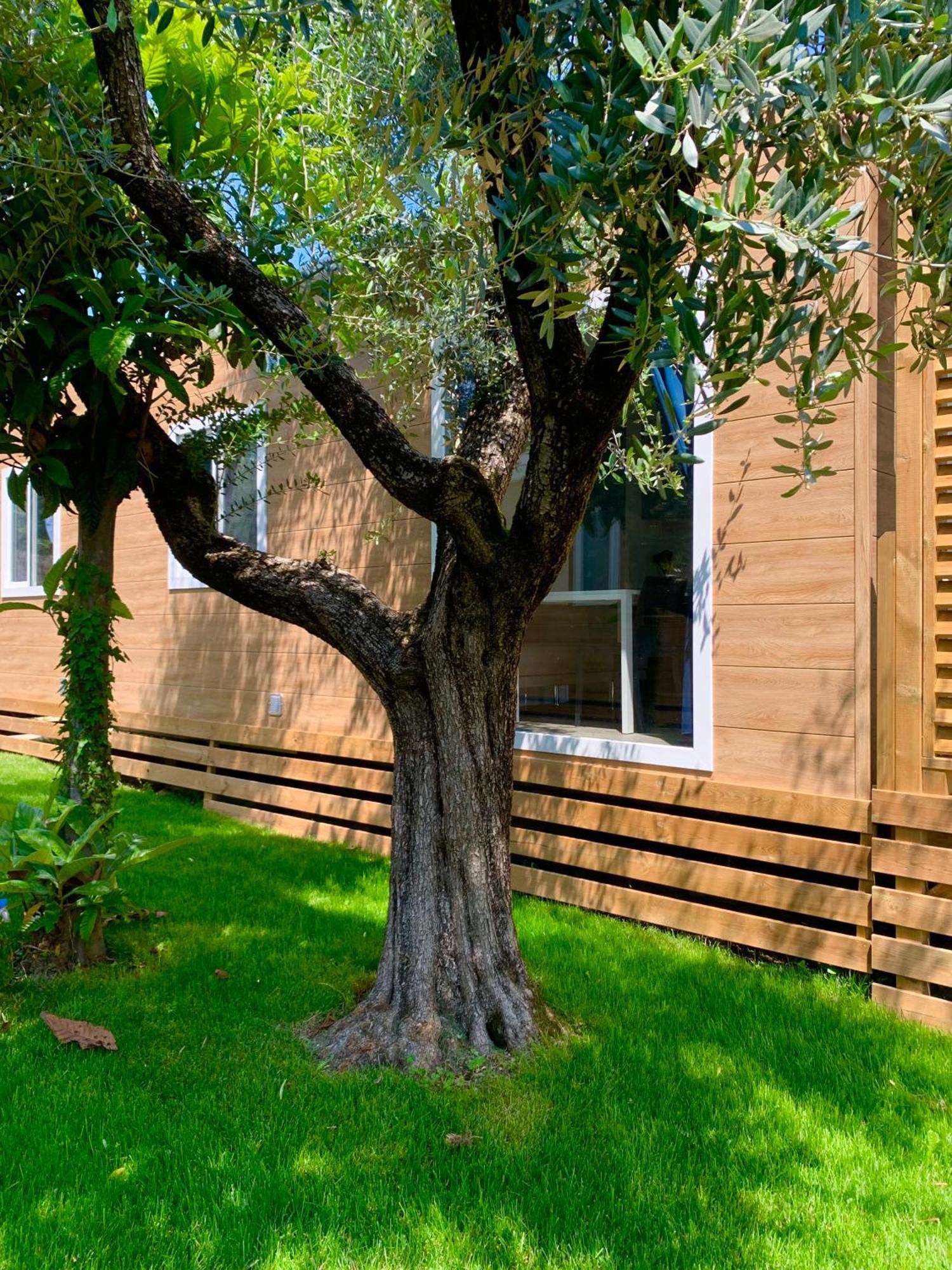 Campeggio Della Colombaia Padenghe sul Garda Bagian luar foto
